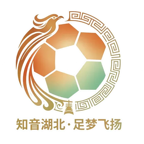 楚超半决赛 武汉华工科技队VS荆州恒隆队20261023